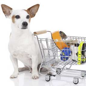 Знижка 50 грн при купівлі товарів від мережі магазинів зоотоварів «Коала» -177942612