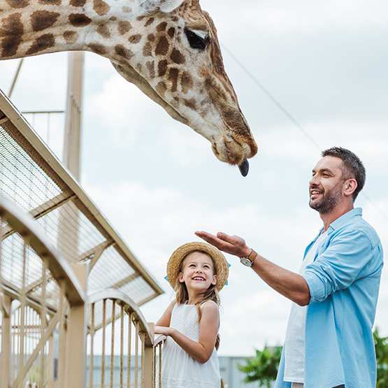 Безкоштовний квиток від «Подільського зоопарку»
