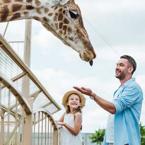 Безкоштовний квиток від «Подільського зоопарку» -233786815